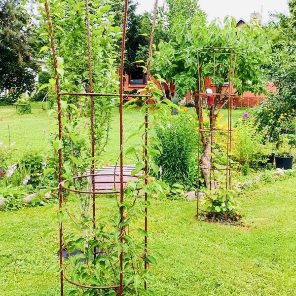 Obelīni-vīteņaugiem