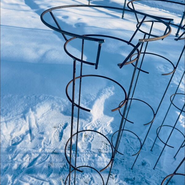 Augststumbra rozēm un hortenzijām metāla augu balsti